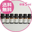 【お試し価格】エッセンシャルオイル 天然植物精油 5mlスパイクラベンダー レモン ティーツリー ローズマリー ペパーミント ユーカリ スイートオレンジ アロマオイル
