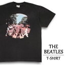 UEr[gY TVc  THE BEATLES ArC[h tF[h ubN TCYFY XL ABBEY ROAD ohTVc bNTVc 傫TCY yViz