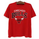 90 039 s NBA シカゴブルズ CHICAGO BULLS 半袖 プリントTシャツ サイズ：XL レッド 【古着】 古着 【中古】 中古 mellow 【古着屋mellow楽天市場店】