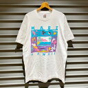 90's USA製 フルーツオブザルーム FRUIT OF THE LOOM Tシャツ 半袖 シングルステッチ プリント MAUI HAWAII サイズ:メンズ...