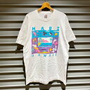 90's USA t[cIuU[ FRUIT OF THE LOOM TVc  VOXeb` vg MAUI HAWAII TCYFY XL rbNTCY zCg 䂤pPbgΉyÁz