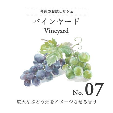 【お試し100円】 サシェ 袋 アロマ アロマサシェ 匂い袋 香袋 芳香剤 クローゼット におい袋 たんす 小袋 ローズ リネン リラクゼーション デザイン コンパクト 母の日 プレゼント 母の日ギフト 実用的 pb