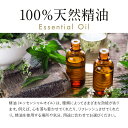 【店内全品ポイント5倍＆クーポンで最大12％OFF】アロマオイル 精油【5ml】【10ml】アロマオイル セットが選べる 3本（10ml×2本 5ml×1本）【送料無料】【エッセンシャルオイル 精油 精油セット アロマディフューザー アロマ】 2