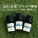 アロマオイル セット【ブレンドオイル】【5ml×3本】からだ