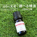 アロマオイル 精油【10ml】エッセンシャルオイル【エッセンシャルオイル 精油 精油セット アロマディフューザー アロ…