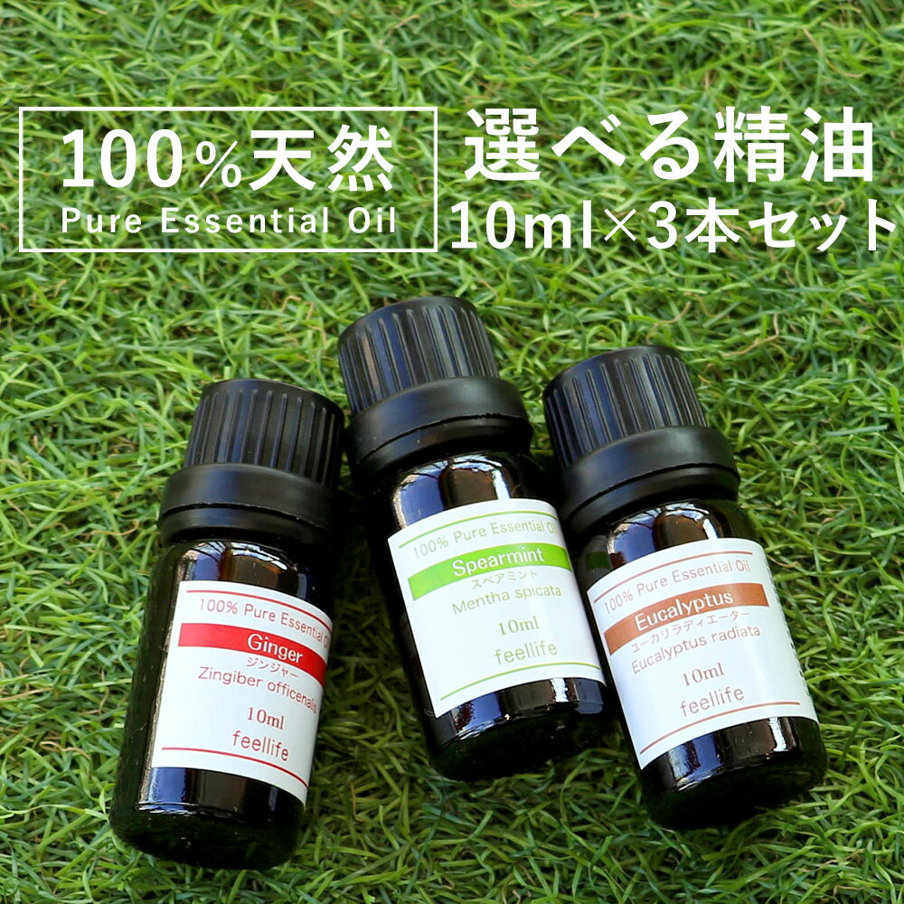 【SALE】アロマオイル 精油【10ml】エッセンシャルオイル セットが選べる 10ml×3本セット【送料無料】【エッセンシャルオイル 精油 精油セット アロマディフューザー アロマ】