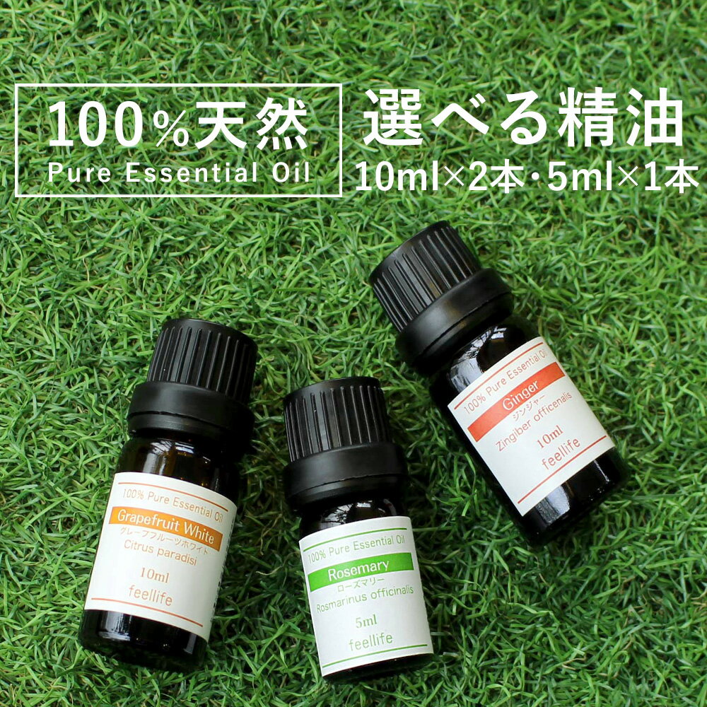 【期間限定 SALE】アロマオイル 精油【5ml】【10ml】アロマオイル セットが選べる 3本 10ml 2本 5ml 1本 【送料無料】【エッセンシャルオイル 精油 精油セット アロマディフューザー アロマ】