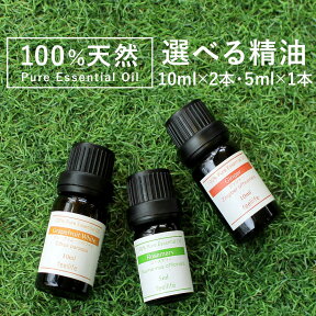 【店内全品ポイント5倍＆クーポンで最大12％OFF】アロマオイル 精油【5ml】【10ml】アロマオイル セットが選べる 3本（10ml×2本 5ml×1本）【送料無料】【エッセンシャルオイル 精油 精油セット アロマディフューザー アロマ】