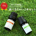 アロマオイル 精油【5ml】セットが選べる 2本 お試しセット 【送料無料】【エッセンシャルオイル 精油 精油セット アロマディフューザー アロマ】