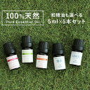 アロマオイル 精油 セット 選べる【国産 和精油を含む 5ml×5本】【ヒノキ ヒバ ひのき ひば 檜 桧葉 桧 檜葉 薄荷 ハ…