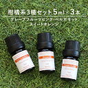 アロマオイル 精油【柑橘系3種】【5ml×3本】精油セット 