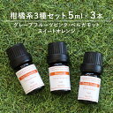 アロマオイル 精油【柑橘系3種】【5ml×3本】精油セット ラベンダー セット レモングラス ベルガモット アロマディフューザー アロマ エッセンシャルオイル ローズ ヒノキ ローズマリー 使い方