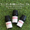 【ラベンダー系3種】【5ml×3本】精油セット アロマオイル