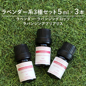 【期間限定SALE】【ラベンダー系3種】【5ml×3本】精油セット アロマオイル ラベンダー 精油 セット レモングラス ベルガモット アロマディフューザー アロマ エッセンシャルオイル ローズ ヒノキ ローズマリー 使い方 pb