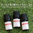 アロマオイル 精油【スパイス系3種】【5ml×3本】精油セッ