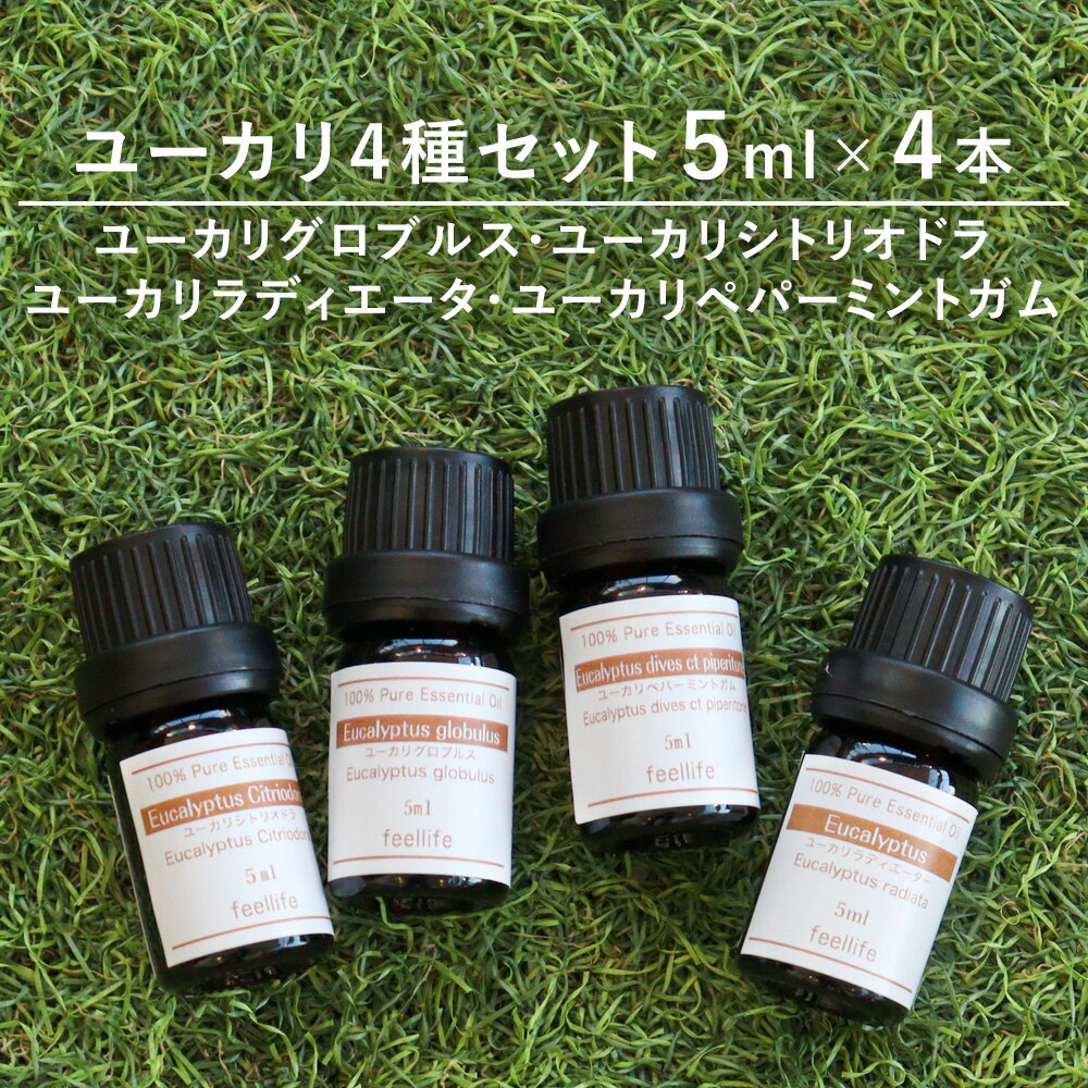 アロマオイル 精油【ユーカリ系4種】【5ml×4本】精油セッ