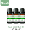 \LINE登録で13%OFFクーポン/アロマオイル 精油【10ml】クラリセージ エッセンシャルオイル 10ml×3本 セット アロマディフューザー アロマ 使い方 おすすめ ディフューザー