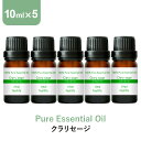 \LINE登録で13%OFFクーポン/アロマオイル 精油【10ml】クラリセージ エッセンシャルオイル 10ml×5本 セット アロマディフューザー アロマ 使い方 おすすめ ディフューザー