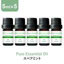 \LINE登録で13%OFFクーポン/アロマオイル 精油【5ml】スペアミント エッセンシャルオイル 5ml×5本 アロマディフューザー アロマ 使い方 おすすめ ディフューザー ミント