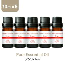 \LINE登録で13%OFFクーポン/アロマオイル 精油【10ml】ジンジャー エッセンシャルオイル 10ml×5本 セット アロマディフューザー アロマ 使い方 おすすめ ディフューザー 生姜 ショウガ