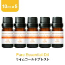 \LINE登録で13%OFFクーポン/ライム コールドプレスト アロマオイル エッセンシャルオイル 精油 10ml×5本 アロマディフューザー アロマ 使い方 おすすめ ディフューザー ライムコールドプレスト