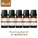 \LINE登録で13%OFFクーポン/ユーカリグロブルス アロマオイル エッセンシャルオイル 精油 10ml×5本 アロマディフューザー アロマ 使い方 おすすめ ディフューザー ユーカリ グロブルス ユーカリ精油 ユーカリ油