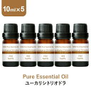 \LINE登録で13%OFFクーポン/ユーカリシトリオドラ アロマオイル エッセンシャルオイル 精油 10ml×5本 アロマディフューザー アロマ 使い方 おすすめ ディフューザー シトリオドラ ユーカリ ユーカリ精油 ユーカリ油