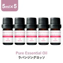 \LINE登録で13%OFFクーポン/アロマオイル 精油【5ml】ラバンジングロッソ エッセンシャルオイル 5ml×5本 アロマディフューザー アロマ 使い方 おすすめ ディフューザー ラバンジン