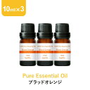 \LINE登録で13%OFFクーポン/ブラッドオレンジ アロマオイル エッセンシャルオイル 精油 10ml×3本 アロマディフューザー アロマ 使い方 おすすめ ディフューザー オレンジ