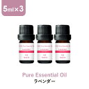 アロマオイル 精油【5ml】ラベンダー エッセンシャルオイル 5ml×3本 アロマディフューザー アロマ 使い方 おすすめ …