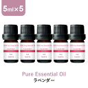 \LINE登録で13%OFFクーポン/アロマオイル 精油【5ml】ラベンダー エッセンシャルオイル 5ml×5本 アロマディフューザー アロマ 使い方 おすすめ ディフューザー 真正ラベンダー