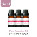 \LINE登録で13%OFFクーポン/アロマオイル 精油【10ml】ラバンジンアブリアリス エッセンシャルオイル 10ml×3本 セット アロマディフューザー アロマ 使い方 おすすめ ディフューザー ラバンジン