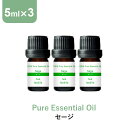 【クーポンご利用で10%OFF】アロマオイル 精油【5ml】セージ エッセンシャルオイル 5ml×3本 アロマディフューザー アロマ 使い方 おすすめ ディフュ...