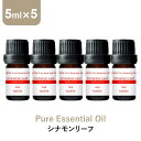 \LINE登録で13%OFFクーポン/アロマオイル 精油【5ml】シナモンリーフ エッセンシャルオイル 5ml×5本 アロマディフューザー アロマ 使い方 おすすめ ディフューザー シナモン