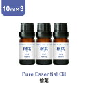 \LINE登録で13%OFFクーポン/アロマオイル 精油 セット【国産 和精油 ヒバ】【10ml×3本 】国産ヒバ ひば 檜葉 桧葉 エッセンシャルオイル アロマディフューザー アロマ 使い方 おすすめ ディフューザー ひば 桧葉 檜葉