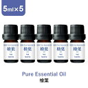 \LINE登録で13%OFFクーポン/アロマオイル 精油 セット【国産 和精油 ヒバ】【5ml×5本】国産ヒバ エッセンシャルオイルアロマディフューザー アロマ 使い方 おすすめ ディフューザー ひば 桧葉 檜葉