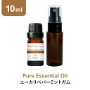 \LINE登録で13%OFFクーポン/ユーカリペパーミントガム アロマオイル エッセンシャルオイル 精油 10ml スプレーボトル セット アロマディフューザー アロマ