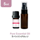 \LINE登録で13%OFFクーポン/ラバンジングロッソ アロマオイル エッセンシャルオイル 精油 5ml スプレーボトル セット アロマディフューザー アロマ
