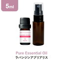 \LINE登録で13%OFFクーポン/ラバンジンアブリアリス アロマオイル エッセンシャルオイル 精油 5ml スプレーボトル セット アロマディフューザー アロマ