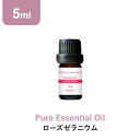 アロマオイル 精油【5ml】ローズゼラニウム エッセンシャルオイル 5ml アロマディフューザー アロマ 使い方 おすすめ ディフューザー ゼラニウム