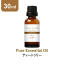 【30ml】ティートゥリー ティーツリー アロマオイル 精油