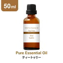 【50ml】ティートゥリー ティーツリー アロマオイル 精油