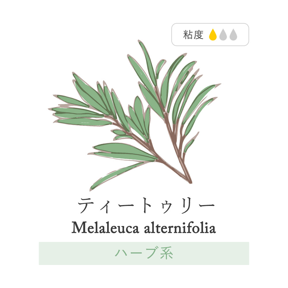 ティートゥリー アロマオイル エッセンシャルオイル 精油 10ml スプレーボトル セット アロマディフューザー アロマ