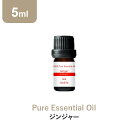 \LINE登録で13%OFFクーポン/アロマオイル 精油【5ml】ジンジャー エッセンシャルオイル 5ml アロマディフューザー アロマ 使い方 おすすめ ディフューザー 生姜 ショウガ