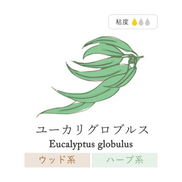 【精油 単品 10ml】ユーカリグロブルス アロマディフューザー アロマキャンドル アロマストーン アロマ加湿器 アロマランプ リードディフューザー キャリアオイル リードスティック pb