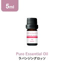 \LINE登録で13%OFFクーポン/アロマオイル 精油【5ml】ラバンジングロッソ エッセンシャルオイル 5ml アロマディフューザー アロマ 使い方 おすすめ ディフューザー ラバンジン