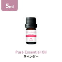 アロマオイル 精油【5ml】ラベンダ