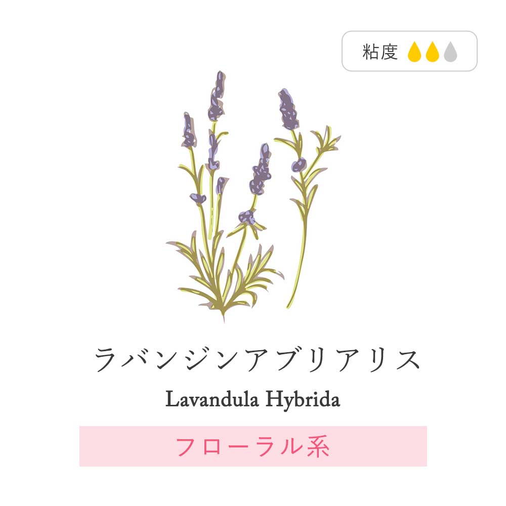アートラボ(ART LAB) Songs of Nature HPリードディフューザー 詰め替え用 カモミール＆レモン 180ml ルームフレグランス 芳香剤