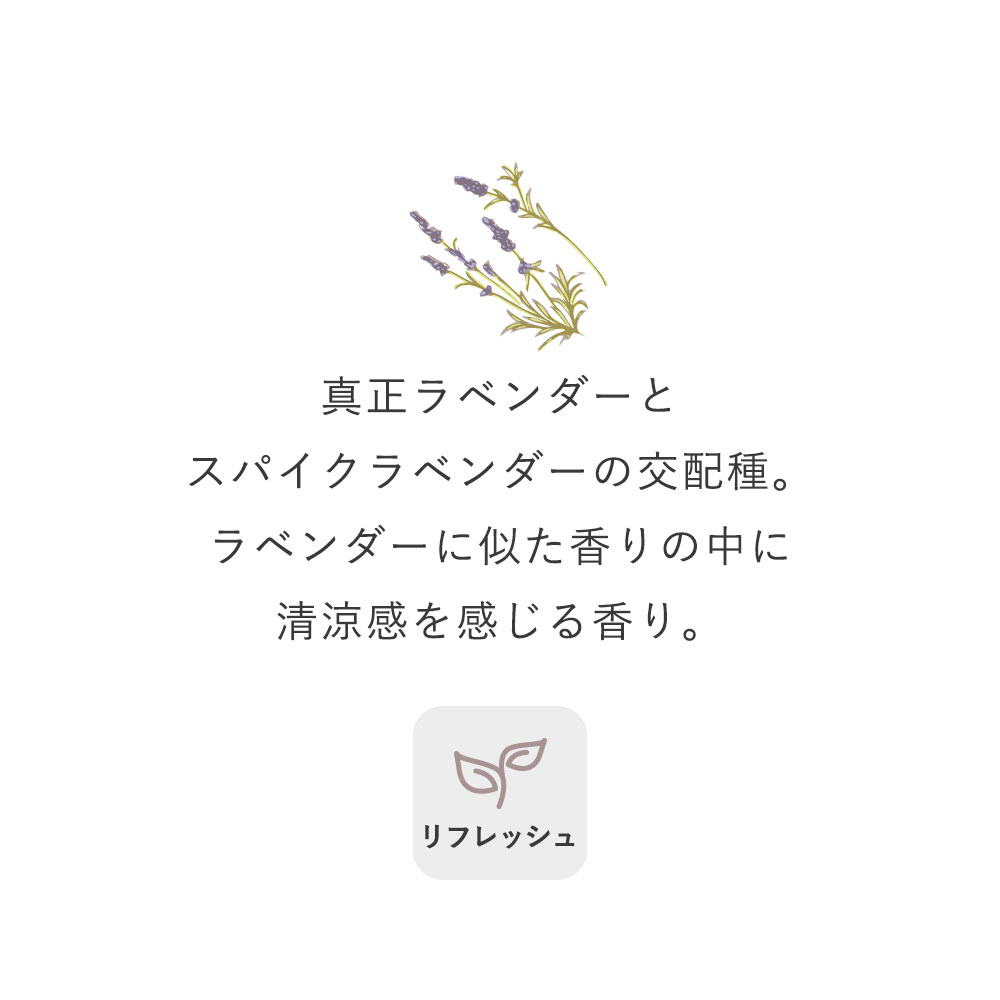 アートラボ(ART LAB) Songs of Nature HPリードディフューザー 詰め替え用 カモミール＆レモン 180ml ルームフレグランス 芳香剤