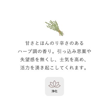 【10ml×5本】タイム 精油 アロマオイル 加湿器 精油 収納 昼用夜用 ブレンド アロマ アロマディフューザー アロマ加湿器 アロマキャンドル アロマストーン おしゃれ アロマランプ pb